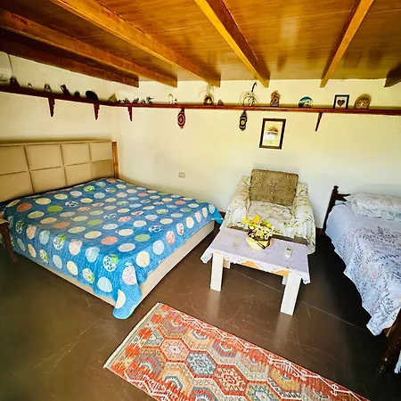 Zeko 2 Apartment Gjirokastër